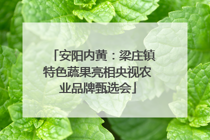 安阳内黄：梁庄镇特色蔬果亮相央视农业品牌甄选会