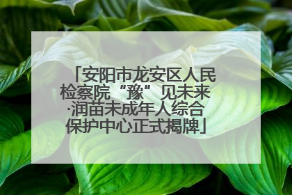 安阳市龙安区人民检察院“豫”见未来·润苗未成年人综合保护中心正式揭牌