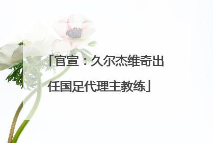 官宣：久尔杰维奇出任国足代理主教练