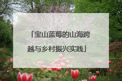 宝山蓝莓的山海跨越与乡村振兴实践