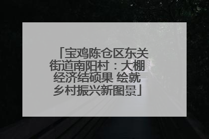 宝鸡陈仓区东关街道南阳村：大棚经济结硕果 绘就乡村振兴新图景