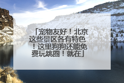 宠物友好！北京这些景区各有特色！这里狗狗还能免费玩跳圈！就在