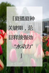 夏播夏种关键期，范县释放强劲“水动力”
