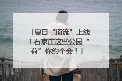 夏日“顶流”上线！石家庄这些公园“荷”你约个会！