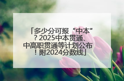 多少分可报“中本”？2025中本贯通、中高职贯通等计划公布！附2024分数线