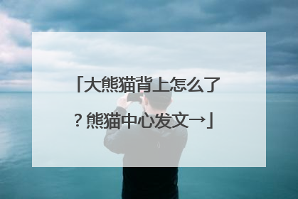 大熊猫背上怎么了？熊猫中心发文→
