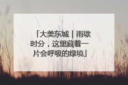 大美东城｜雨歇时分，这里藏着一片会呼吸的绿境