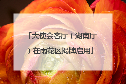 大使会客厅（湖南厅）在雨花区揭牌启用