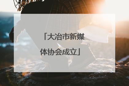大冶市新媒体协会成立