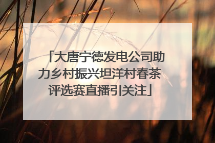 大唐宁德发电公司助力乡村振兴坦洋村春茶评选赛直播引关注