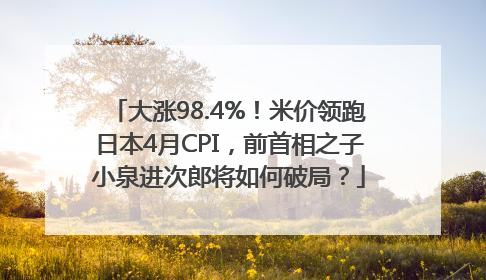 大涨98.4%！米价领跑日本4月CPI，前首相之子小泉进次郎将如何破局？