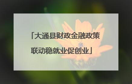 大通县财政金融政策联动稳就业促创业