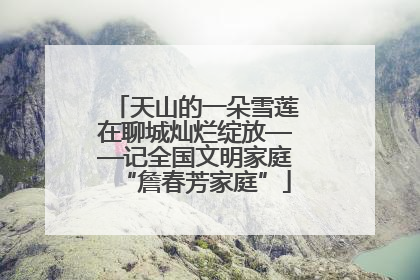 天山的一朵雪莲在聊城灿烂绽放——记全国文明家庭“詹春芳家庭”