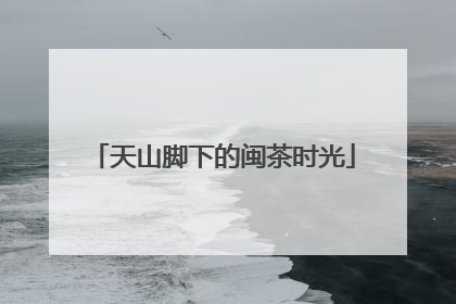 天山脚下的闽茶时光