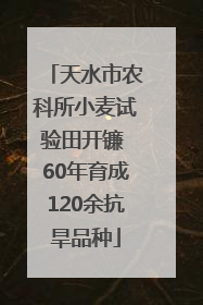 天水市农科所小麦试验田开镰 60年育成120余抗旱品种