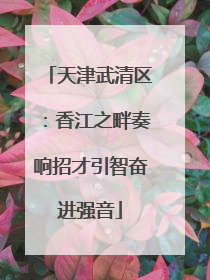 天津武清区：香江之畔奏响招才引智奋进强音