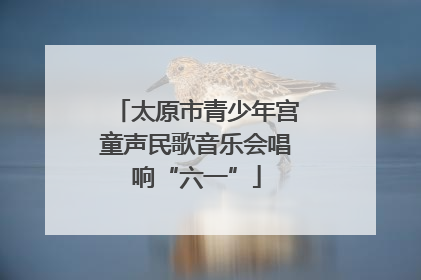 太原市青少年宫童声民歌音乐会唱响“六一”