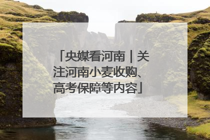 央媒看河南｜关注河南小麦收购、高考保障等内容