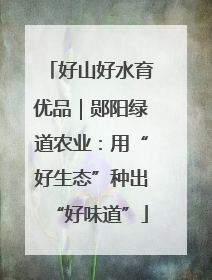 好山好水育优品｜郧阳绿道农业：用“好生态”种出“好味道”