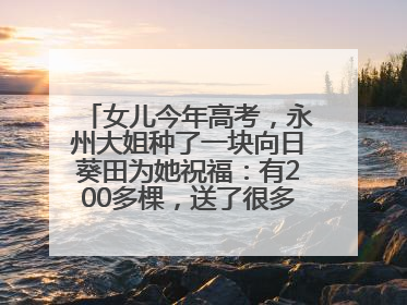 女儿今年高考，永州大姐种了一块向日葵田为她祝福：有200多棵，送了很多给其他家长