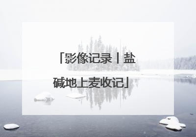 影像记录丨盐碱地上麦收记