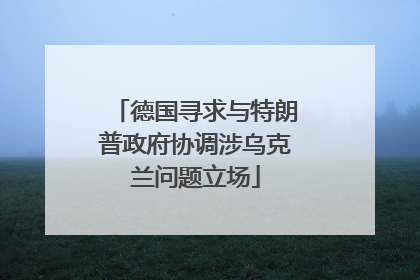 德国寻求与特朗普政府协调涉乌克兰问题立场