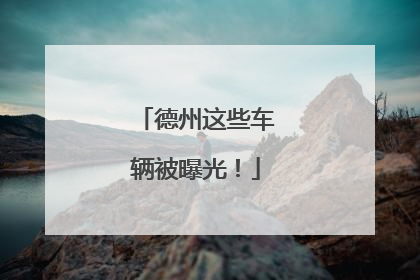 德州这些车辆被曝光！