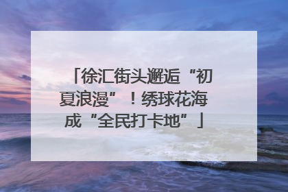 徐汇街头邂逅“初夏浪漫”！绣球花海成“全民打卡地”