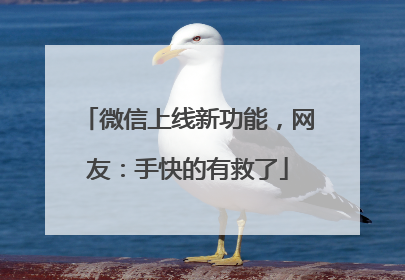 微信上线新功能，网友：手快的有救了