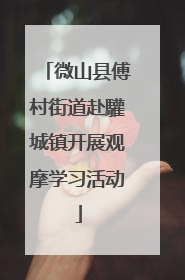 微山县傅村街道赴驩城镇开展观摩学习活动