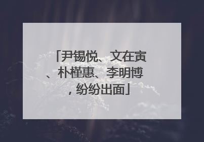 尹锡悦、文在寅、朴槿惠、李明博，纷纷出面