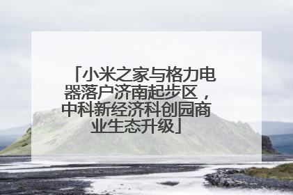 小米之家与格力电器落户济南起步区，中科新经济科创园商业生态升级