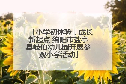 小学初体验，成长新起点 绵阳市盐亭县岐伯幼儿园开展参观小学活动