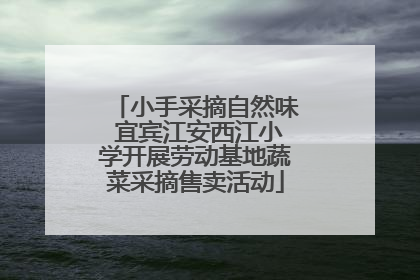 小手采摘自然味 宜宾江安西江小学开展劳动基地蔬菜采摘售卖活动