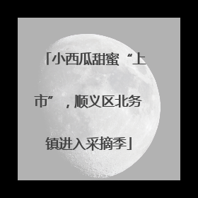 小西瓜甜蜜“上市”，顺义区北务镇进入采摘季