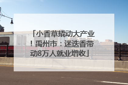 小香草撬动大产业！禹州市：迷迭香带动8万人就业增收