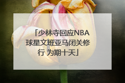 少林寺回应NBA球星文班亚马闭关修行 为期十天