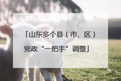 山东多个县（市、区）党政“一把手”调整