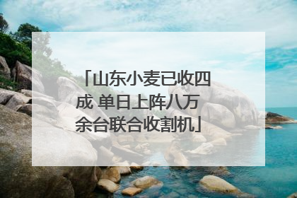 山东小麦已收四成 单日上阵八万余台联合收割机