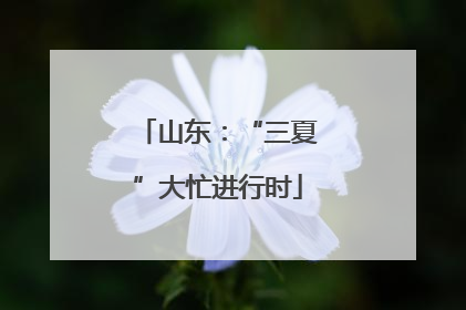 山东：“三夏”大忙进行时