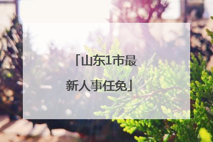 山东1市最新人事任免
