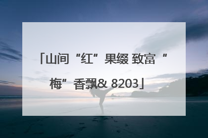 山间“红”果缀 致富“梅”香飘& 8203