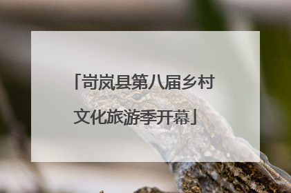 岢岚县第八届乡村文化旅游季开幕