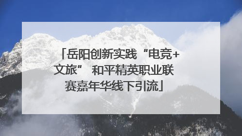 岳阳创新实践“电竞+文旅” 和平精英职业联赛嘉年华线下引流