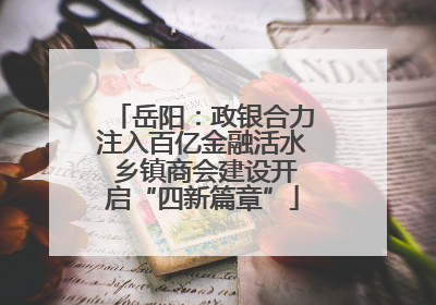岳阳：政银合力注入百亿金融活水 乡镇商会建设开启“四新篇章”
