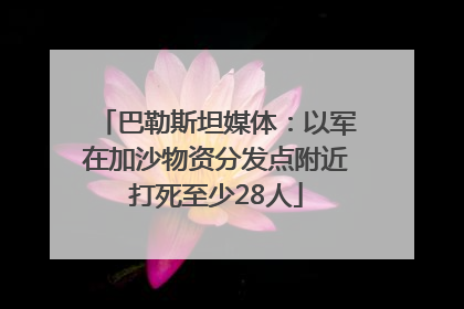 巴勒斯坦媒体：以军在加沙物资分发点附近打死至少28人