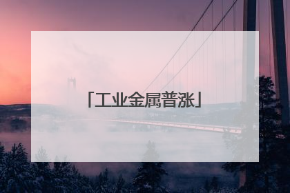 工业金属普涨