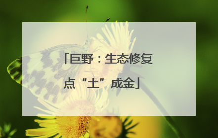巨野：生态修复点“土”成金