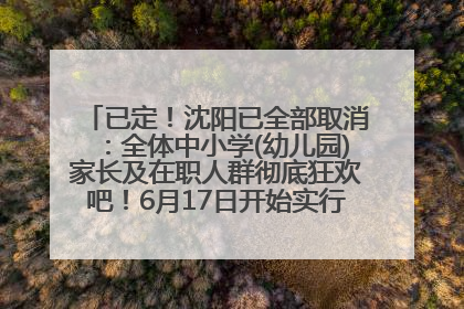 已定！沈阳已全部取消：全体中小学(幼儿园)家长及在职人群彻底狂欢吧！6月17日开始实行！18岁及以上可参加25年学历提升报名！