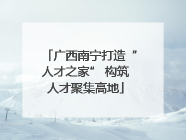 广西南宁打造“人才之家” 构筑人才聚集高地